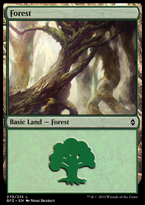 Image of Forest