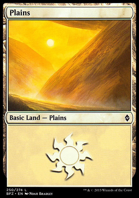 Image of Plains